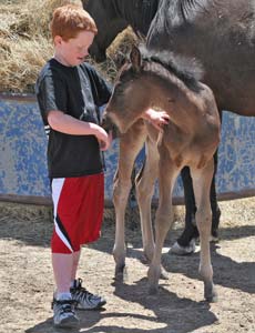 Caden and CNR Valentine Chick ~ Blue Valentine bred filly