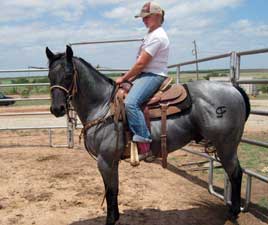 Claytons Blu Avenger ~ Blue Roan Quarter Horse Stallion Son of Romeo Blue