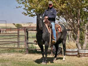 Twister Joe Hancock blue roan stallion Joe Hancock bred Owned and trained by Von Woodress Altus, Oklahoma