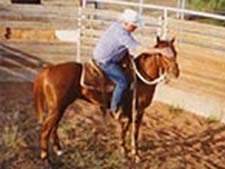 Bee Sunday Queen sorrel filly Waggoner and Jackie Bee bred