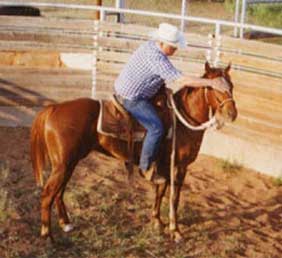 Bee Sunday Queen chestnut filly Waggoner and Jackie Bee bred