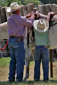 Joe Hancock bred horses ~ Joe Hancock was one of the all-time great sires of rope horses