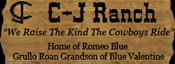 C-J Ranch ~ We Raise The Kind The Cowboys Ride ~ Standing Romeo Blue, Grullo Roan Quarter Horse Stallion Son of Plenty Try and Out of a Blue Valentine Mare in Randlett, Oklahoma