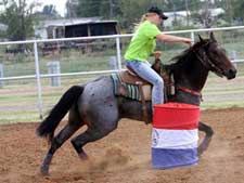 Hancock ~ Blue Valentine bred quarter horses for sale