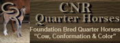 Holder Quarter Horses  ~ Uncommon Cow Ponies for sale in Texas. Blue roans, duns, red roans and buckskins with Joe Hancock, Driftwood and Leo bloodlines.
