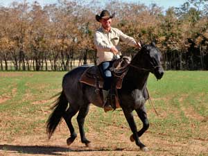 Joe Hancock & 4 Times Blue Valentine bred at CNR Quarter Horses in Lubbock, Texas