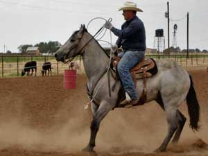 Blue Valentine, Roan Ambrose, Buck Hancock and Joe Hancock bred quarter horse for sale