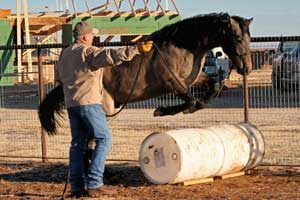 Blue Valentine, Roan Ambrose, Buck Hancock and Joe Hancock bred quarter horse for sale
