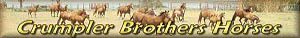 Crumpler Brothers Horses ~ Wichita Falls, Texas