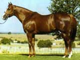 Dash For Cash ~ All time leading sire of racing Quarter Horses