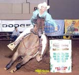 Elijahs Run brown quarter horse gelding son of One Slick One