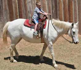 Jackson and Frosty ~ Leo bred mare