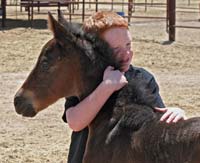 CNR Quarter Horses Blue Valentine bred blue roan quarter horses for sale in Lubbock, Texas