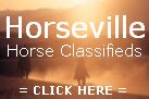 Horses for sale at Horseville