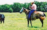 Jack Bee Strait gray gelding Strait Silver and Jackie Bee bred