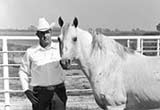 Jackie Bee Legendary AQHA Hall Of Fame Horse