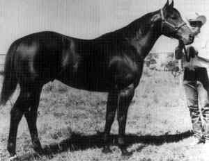 Jet Deck Quarter Horse Legend