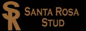 Santa Rosa Stud ~ The historical home of Poco Bueno in Vernon, Texas is now open and standing to the public top quality ranch and cutting bred quarter horses including sons of High Brow Cat, Smart Little Lena, Shorty Lena, Peptoboonsmal and other great performance horses.