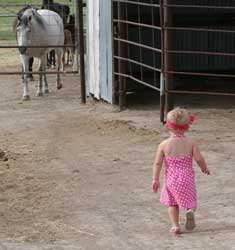Emmy going to see the horses