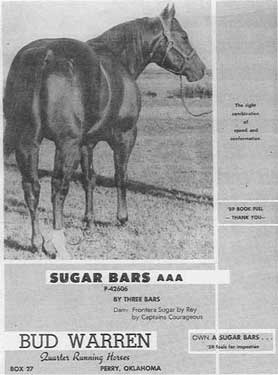 Sugar Bars Quarter Horse Legend