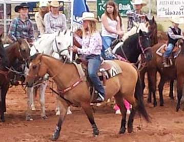 Orphan Drift, War Concho and Watch Joe Jack bred quarter horse dun filly