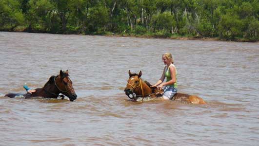 Orphan Drift, War Concho and Watch Joe Jack bred quarter horse dun filly