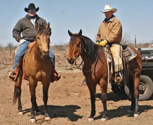 Stuart on CNR Cashs Chubby Leo ~ Dash For Cash and Leo bred dun gelding; Rick on CNR Gin N Sugar ~ Tanquery Gin and Sugar Bars bred bay mare